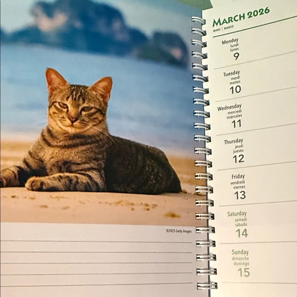 Cat Lovers 2026 Planner BNWT and Mug Set - Blue and White